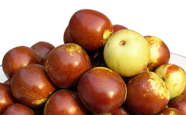 河北特產 黃驊冬棗的獨特魅力